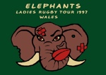 GN-Pascal-Elephants-T-shirt
